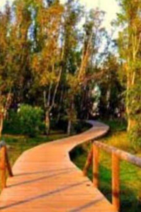 קבאנס Apartamento En Primera Linea De Playa Con Vistas מראה חיצוני תמונה